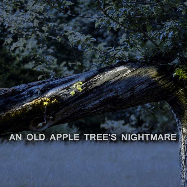 An old apple tree´s nightmare
